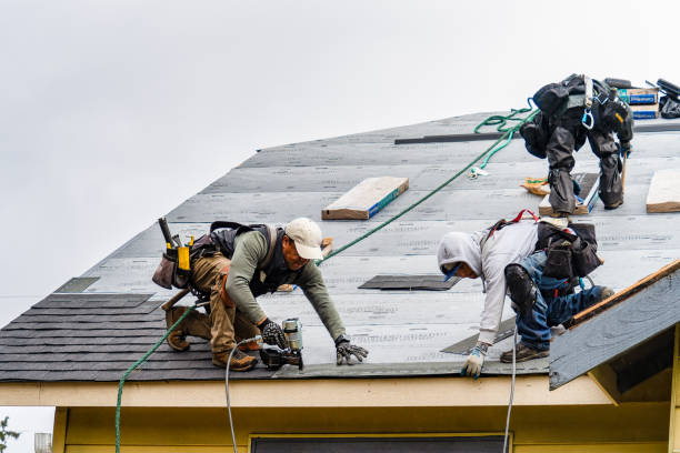 Professional Gutter Installation technician working in Roberts, ID